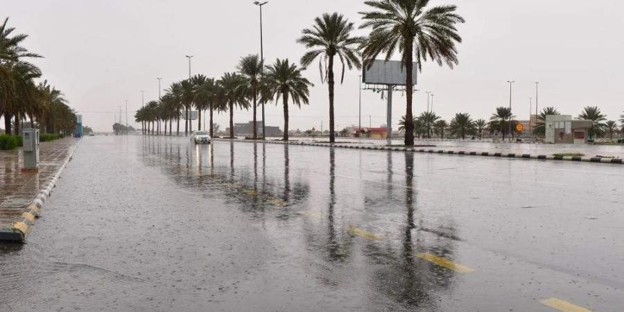 "الأرصاد" ينبه من رياح نشطة على تبوك تؤثر على الرؤية الأفقية - الكويت الاخباري