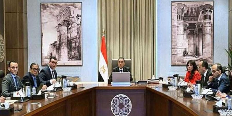 رئيس الوزراء يستعرض مشروع تطوير المنظومة الالكترونية لإنهاء إجراءات وصول السائحين إلى المطارات المصرية - الكويت الاخباري