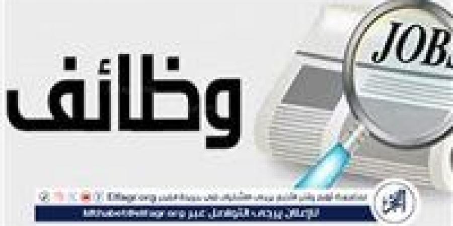 مديرية العمل تعلن عن توفير 945 فرصة عمل بالقليوبية - صور - الكويت الاخباري