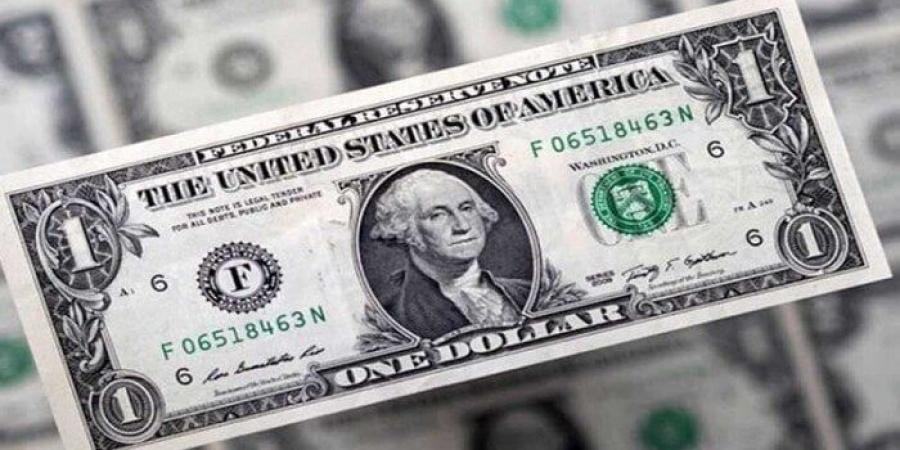 الأخضر بكام؟.. أسعار الدولار في مصر اليوم الأحد 4-5-2025 - الكويت الاخباري
