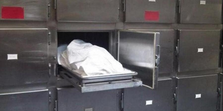 مصرع سيدة وإصابة ثلاثة أطفال مجهولين فى حادث تصادم بالدقهلية - الكويت الاخباري