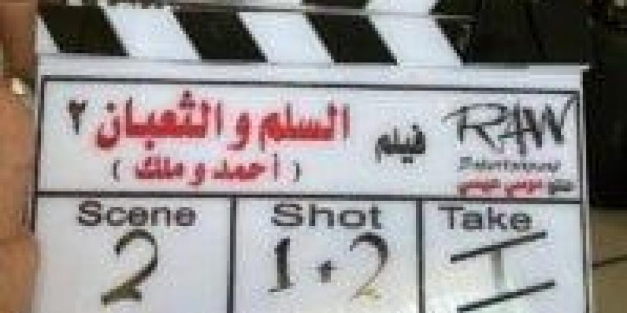 بعد 24 عاما على عرض الجزء الأول.. قصة وأبطال فيلم «السلم والثعبان 2» - الكويت الاخباري
