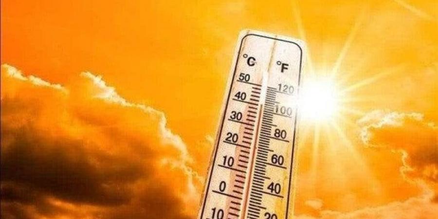 مائل للحرارة نهاراً.. حالة الطقس المتوقعة اليوم الأحد 4 مايو 2025 - الكويت الاخباري