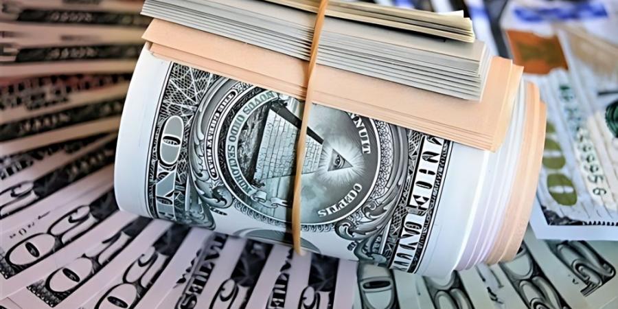 سعر الدولار مقابل الجنيه اليوم الأحد في البنوك المصرية - الكويت الاخباري