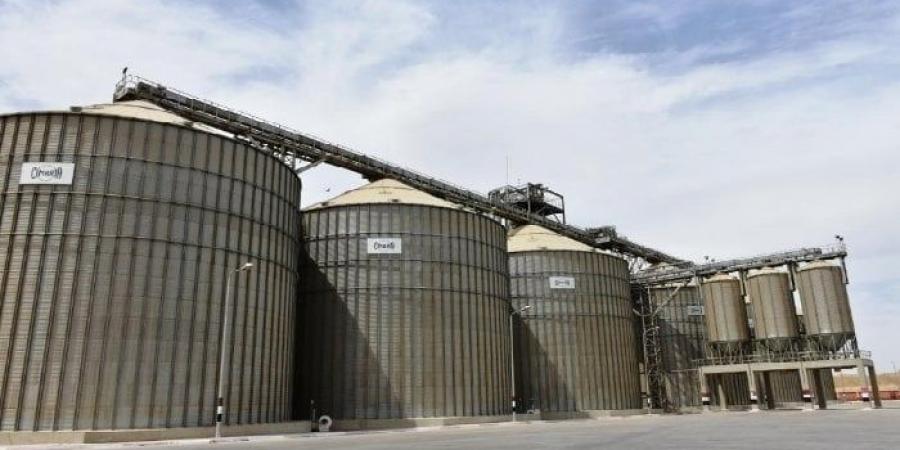 تموين أسوان: توريد 104 آلاف طن قمح خلال موسم الحصاد - الكويت الاخباري