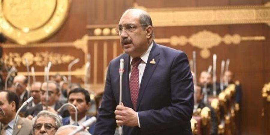 رئيس برلمانية الشعب الجمهوري بالشيوخ يطالب بسد الثغرات التشريعية لمواجهة الجرائم الإلكترونية - الكويت الاخباري