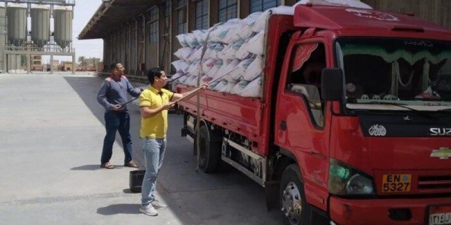 توريد 21 ألف و164 طن قمح للشون والصوامع بالقليوبية - الكويت الاخباري