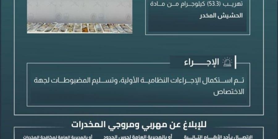 إحباط تهريب (53.3) كجم من الحشيش بـالعارضة - الكويت الاخباري