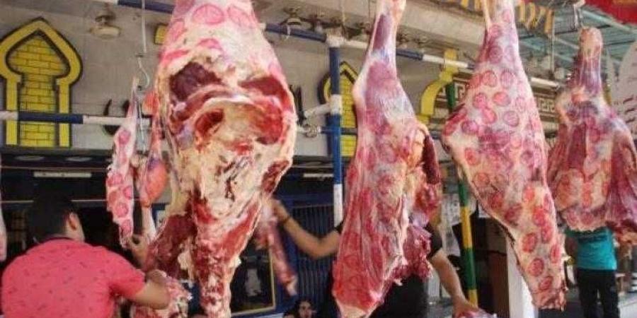 أسعار اللحوم الحمراء اليوم الإثنين - الكويت الاخباري