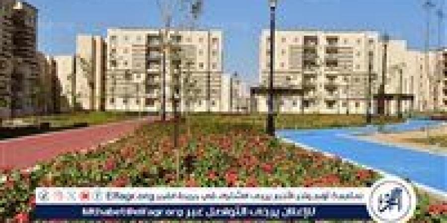 سكن لكل المصريين 5.. طرق الحصول على إفادة عدادات الكهرباء - الكويت الاخباري