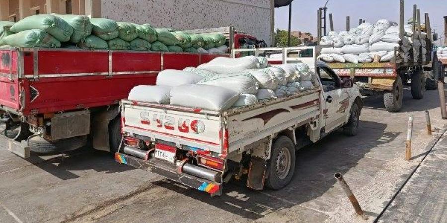 تموين الأقصر: توريد 3 آلاف طن قمح للشون والصوامع - الكويت الاخباري