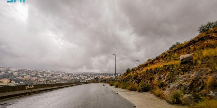 أمطار وسيول على 9 مناطق والعرضيات الأعلى - الكويت الاخباري