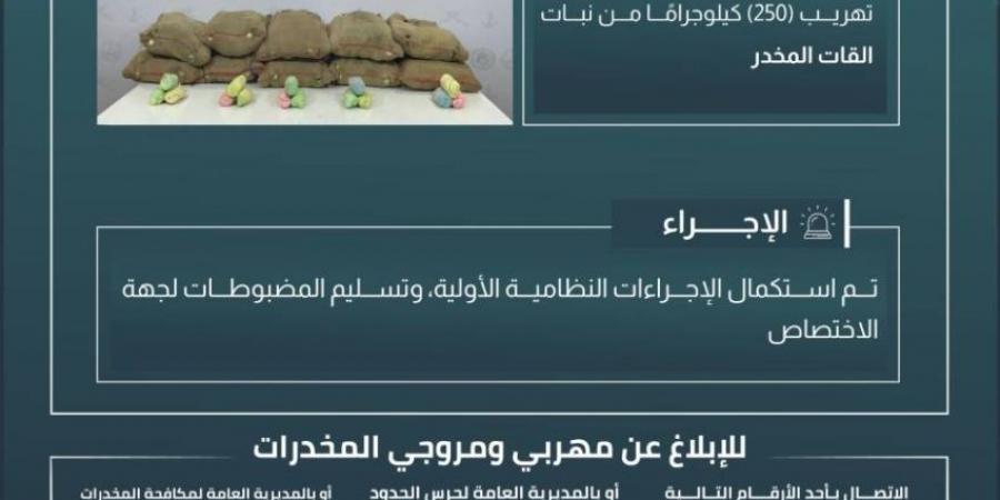 إحباط تهريب (250) كجم من القات بـالربوعة - الكويت الاخباري