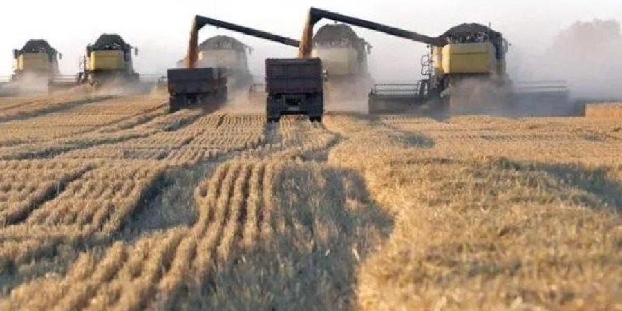 محافظ الشرقية: التيسير على المزارعين في عملية توريد القمح - الكويت الاخباري