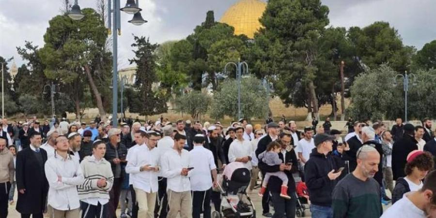 اعتقالات بالضفة ومستوطنون يقتحمون المسجد الأقصى - الكويت الاخباري