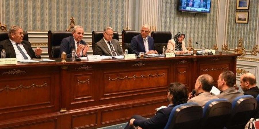 محافظ الغربية: في انتظار التدشين الرسمي للمرحلة الثانية من مبادرة حياة كريمة - الكويت الاخباري