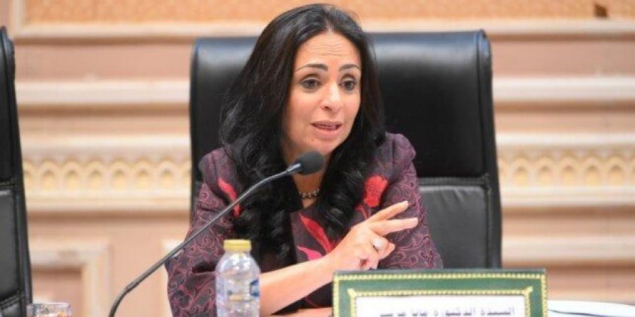 مايا مرسي تشارك في اجتماع لجنة التضامن الاجتماعي بمجلس النواب لمناقشة مشروع الموازنة - الكويت الاخباري