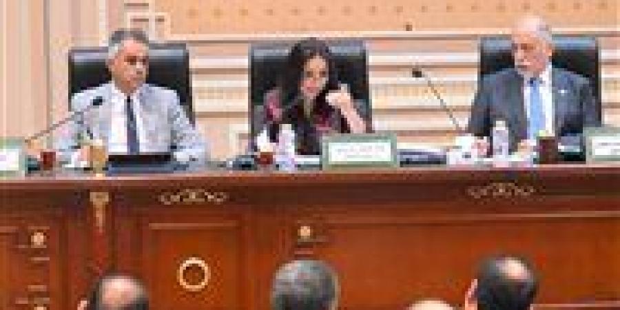 وزيرة التضامن الاجتماعي: "تكافل وكرامة" أصبح حقًا دستوريًا بصدور قانون الضمان الاجتماعي الجديد - الكويت الاخباري