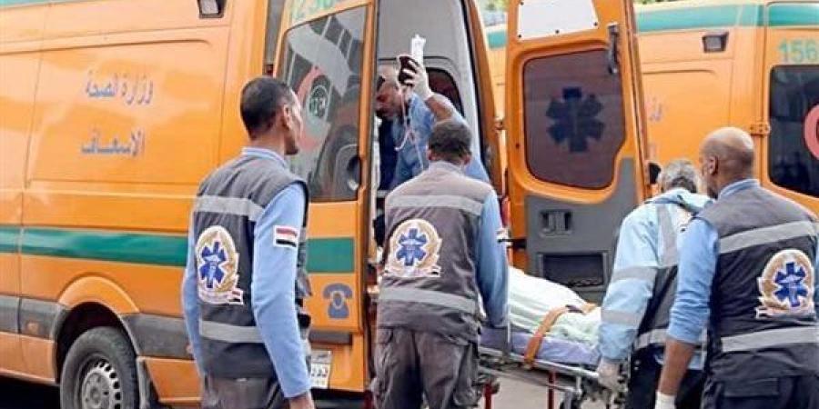 الدم بقا ميه.. مقتل مسنة على يد حفيدتها بالشرقية - الكويت الاخباري