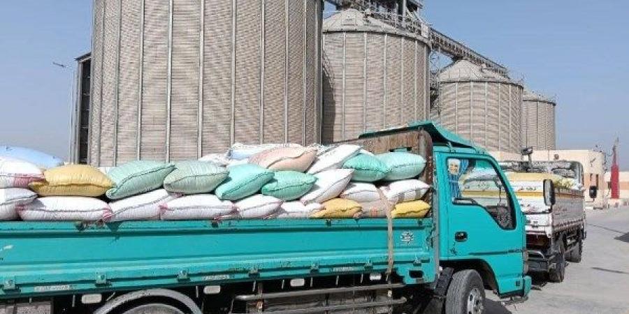 المواقع التخزينية بالشرقية تستقبل 342 ألف طن قمح - الكويت الاخباري