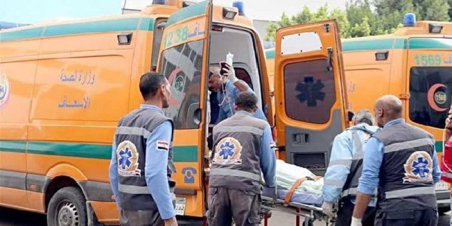 10 مصابين في حادث انقلاب ميكروباص على طريق الواحات بالمنيا - الكويت الاخباري
