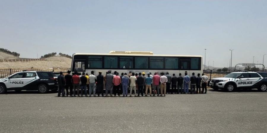 مكة المكرمة.. ضبط مخالف لنقله 35 مقيمًا لا يحملون تصريحًا بالحج - الكويت الاخباري