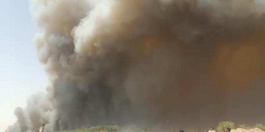 حريق هائل في الغابة الشجرية بقنا .. صور - الكويت الاخباري