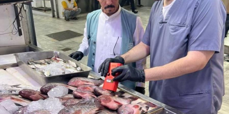 “بيئة الطائف” تبدأ استخدام جهاز حديث لفحص سلامة اللحوم والأسماك في أسواق النفع العام - الكويت الاخباري