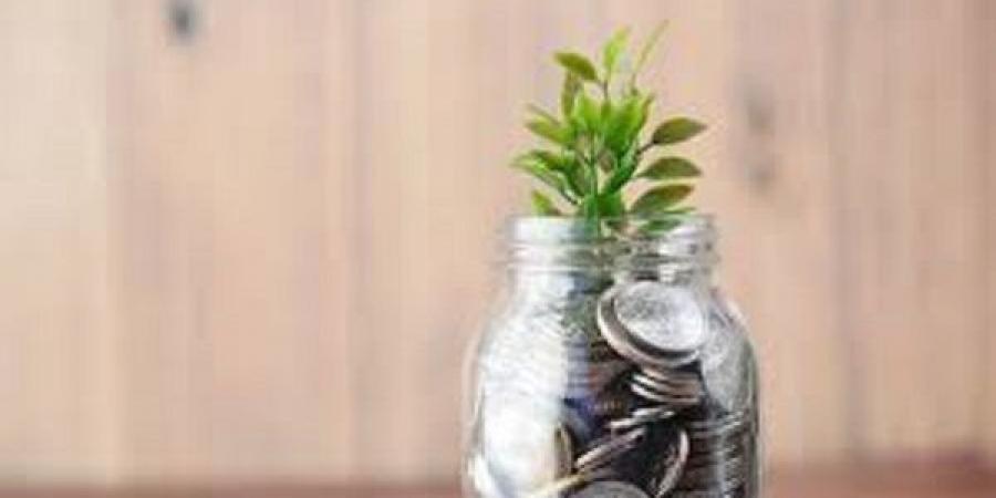 شرط يمنع الوكيل الفقير المحتاج أن يأخذ من مال الزكاة #دار الافتاء #فتاوى - الكويت الاخباري