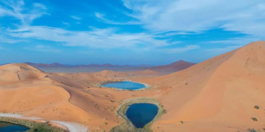 المملكة تنضمّ للاتفاقية الدولية للأراضي الرطبة - الكويت الاخباري
