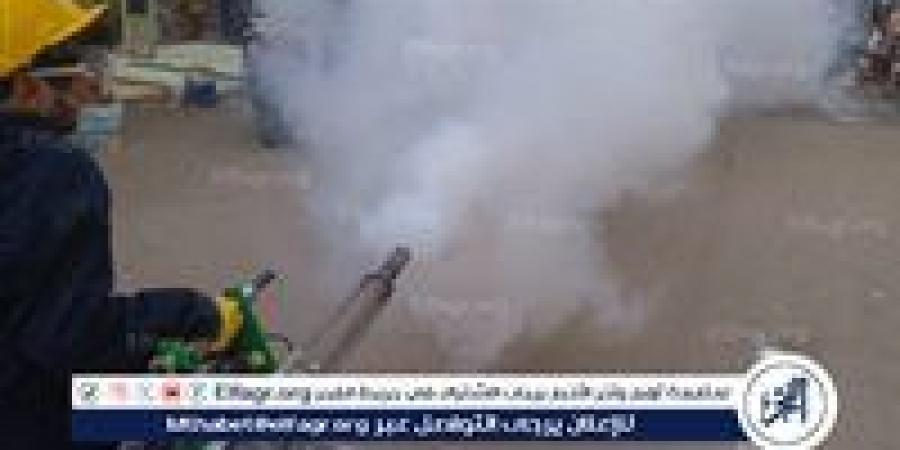 محافظ أسيوط: حملات وقائية لرش البعوض بساحل سليم - الكويت الاخباري