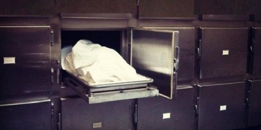 «علقة موت».. مقتل مسجل على يد الأهالى أثناء سرقته شخص بالإكراه في شبين القناطر - الكويت الاخباري
