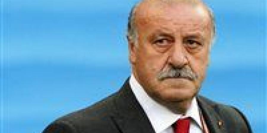 ديل بوسكي يشيد بعمل أنشيلوتي في ريال مدريد - الكويت الاخباري