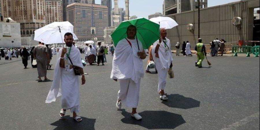 فنادق مميزة وأجهزة جى بى إس .. تسهيلا كبيرة لحجاج القرعة - الكويت الاخباري