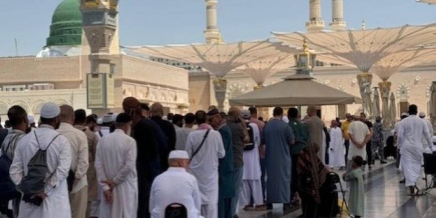 50 ألف زائر للروضة الشريفة يوميا - الكويت الاخباري