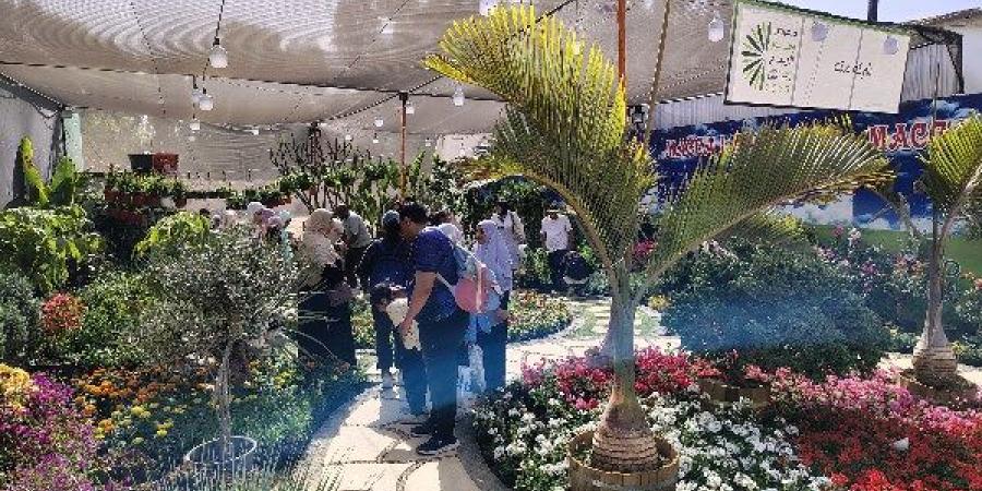 استجابة للإقبال الجماهيري.. عروض متميزة على الزهور والنباتات النادرة - الكويت الاخباري