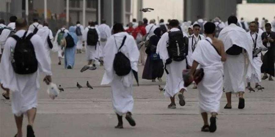 رئاسة الشؤون الدينية تعلن فتح باب التطوع بموسم حج 1446هـ - الكويت الاخباري