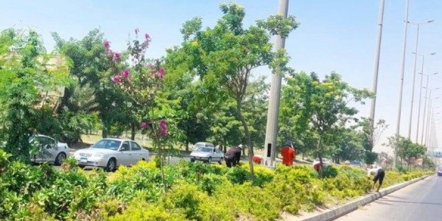 محافظ الإسكندرية يوجه برفع كفاءة الحدائق وتوفير بيئة خضراء آمنة للمواطنين - الكويت الاخباري