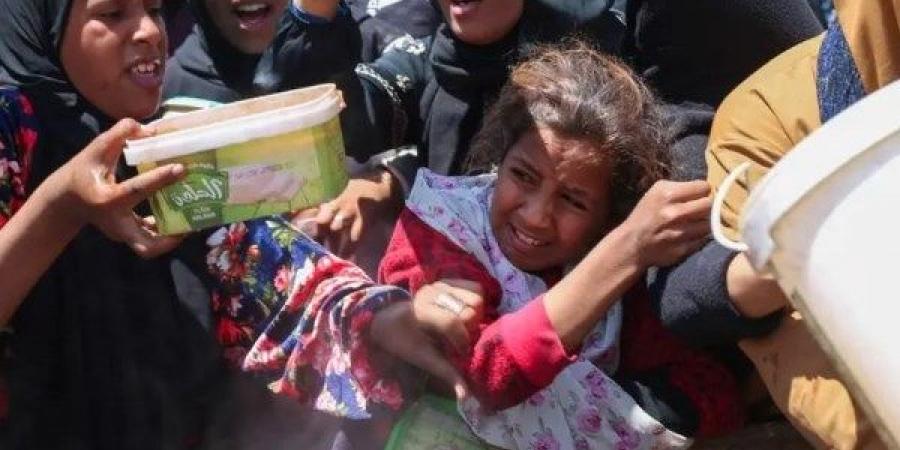 اللجنة الوزارية العربية الإسلامية بشأن غزة تصدر بيانا جديدا.. اعرف تفاصيله - الكويت الاخباري