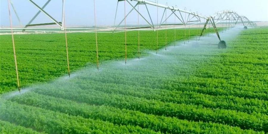 مستقبل مصر.. حكاية تنمية زراعية بأساليب حديثة فى قلب الصحراء - الكويت الاخباري