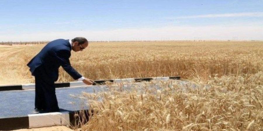 الرئيس السيسي يشهد موسم حصاد القمح ويتفقد مدينة مستقبل مصر الصناعية - الكويت الاخباري