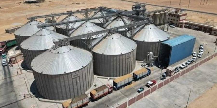 توريد 450 طن قمح بصوامع الوادي الجديد - الكويت الاخباري