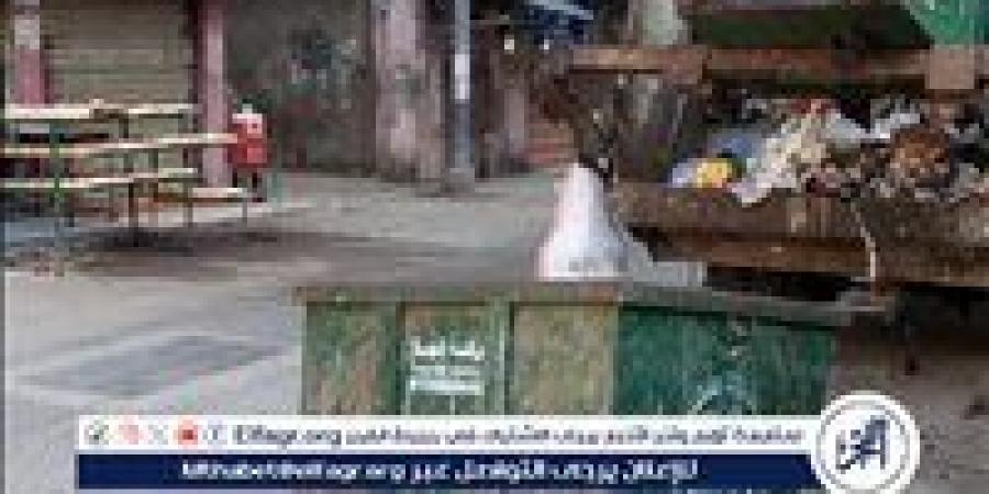 محافظ الدقهلية:رفع 530 طن مخلفات بلدية وتجمعات قمامة في حملة نظافة بالمنصورة - الكويت الاخباري