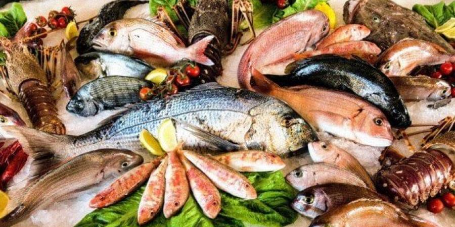 أسعار الأسماك اليوم الجمعة 23 مايو 2025 - الكويت الاخباري