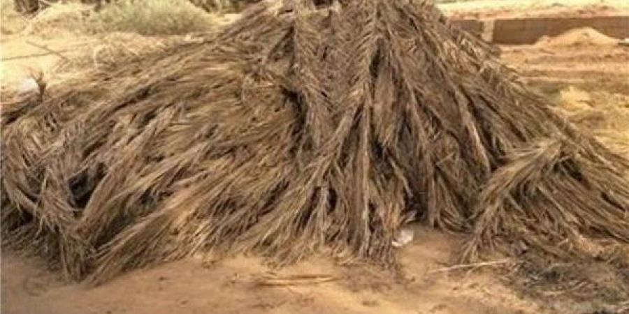 الحبس وغرامة تصل إلى مليون جنيه.. عقوبات مغلظة على حرق مخلفات النخيل بالوادي الجديد - الكويت الاخباري