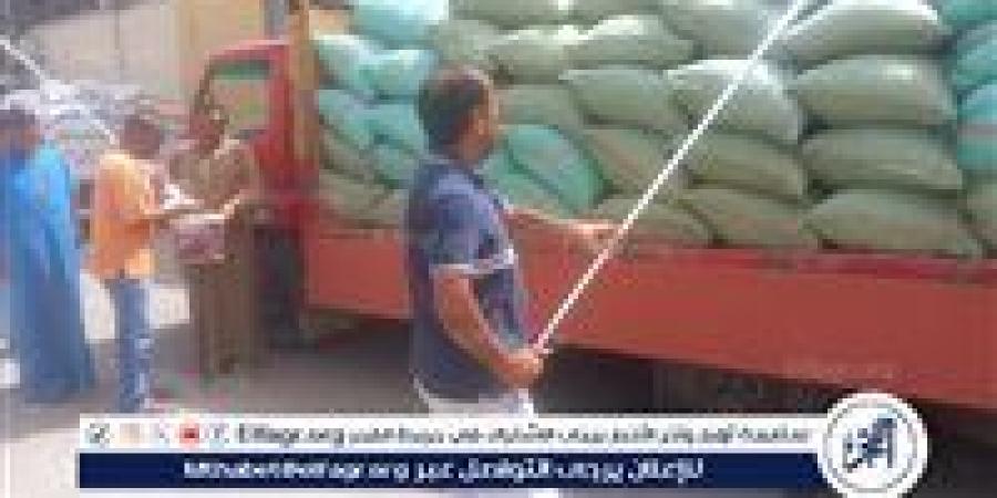 حصاد 188 ألف فدان من القمح وتوريد أكثر من 147 ألف طن للشون والصوامع حتى اليوم فى أسيوط - الكويت الاخباري