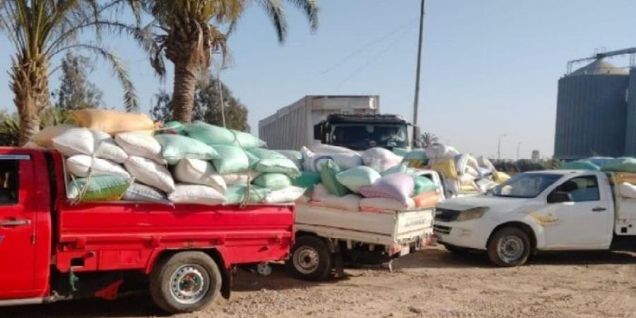 توريد 261 ألف طن قمح لشون وصوامع البحيرة - الكويت الاخباري