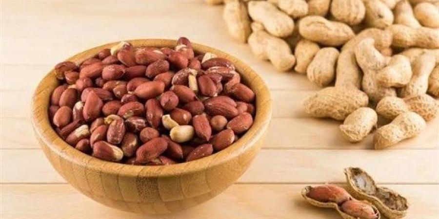 محصول تصديري مربح.. الزراعة تنشر أهم التوصيات العاجلة لمزارعي الفول السوداني - الكويت الاخباري