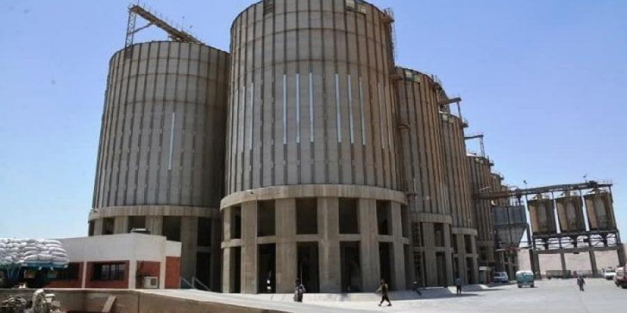 توريد 165 ألف طن قمح خلال شهر بسوهاج وصرف 2.5 مليار جنيه مستحقات للمزارعين - الكويت الاخباري