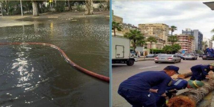 الداخلية تواصل جهودها لإزالة تداعيات الطقس السيئ بالإسكندرية «صور» - الكويت الاخباري